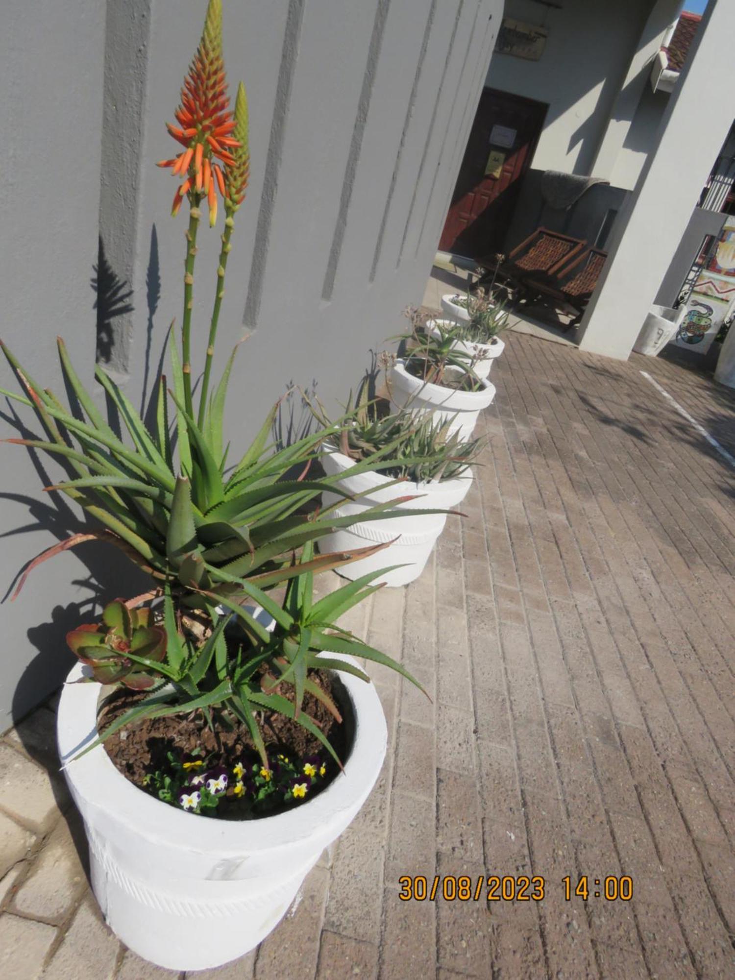 Beachcomber Bay In South Africa 3*